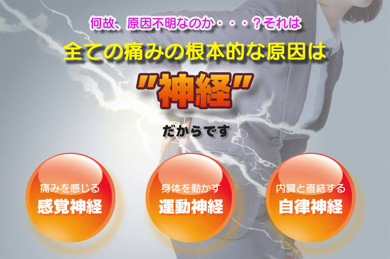 なぜ原因不明なのか？それはすべての痛みの根本的な原因は神経だからです。痛みを感じる感覚神経、体を働かす運動神経、内臓と直結する自律神経